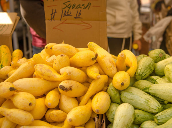 yellow crookneck image####